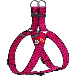 Шлея для собак Waudog Nylon з QR паспортом, малюнок "Кавун", пластиковий фастекс, XL