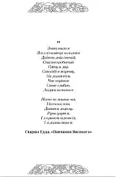 Рунічний Щоденник - мініатюра 3