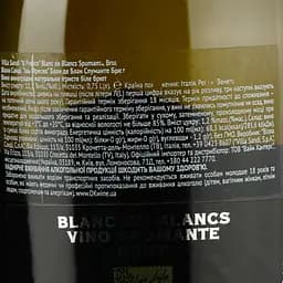 Вино ігристе Villa Sandi il Fresco Blanc de Blancs Spumante Brut, 11,5%, 0,75 л - мініатюра 3