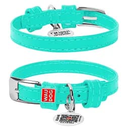 Нашийник для собак шкіряний Waudog Glamour з QR-паспортом без прикрас XXS Ш 9 мм Д 18-21 см ментоловий