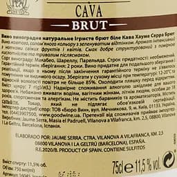 Набір: ігристе вино Cava Jaume Serra Брют 0.75 л + Шоколадні цукерки Guylia Морські Мушлі 125 г - мініатюра 5