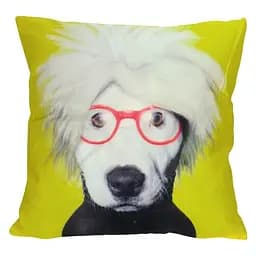 Наволочка Dog Einstein