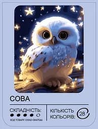 Набір для розпису по номерах "Сова" 40*50 см, IDEA2-GX47066, ТМ "99IDEAS" - мініатюра 2