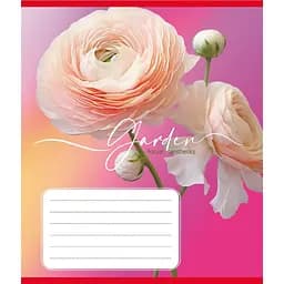 Зошит учнівський "Естетика" Leader 024-550443K-4 в клітинку, 24 аркуші