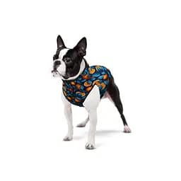 Курточка для собак Waudog Clothes малюнок Апельсини S35 В 47-50 см С 30-33 см   - мініатюра 3