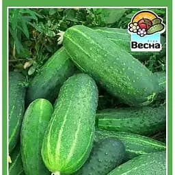 Семена Весна Огурец Феникс 640 0.5 г (20641)
