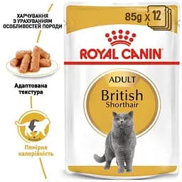 Вологий корм для дорослих кішок породи британська короткошерста Royal Canin British Shorthair Adult, шматочки в підливі, 85 г - мініатюра 6