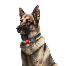 Нашийник для собак Waudog Nylon з QR паспортом, Colors of freedom, пластиковий фастекс, XXL, 46-70х3,5 см - мініатюра 3