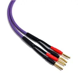 Акустичний кабель 2x4,0mm2 Banana plugs Melodika MDSC-4020 Purple Speaker cable 2m