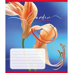 Тетрадь ученическая Эстетика 024-550443K-1 в клетку, 24 листа