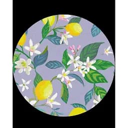 Картина по номерам Brushme Цветение лимона (Размер L) 40x40 см