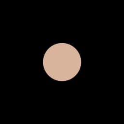 Пудра мінеральна матова Eveline Cosmetics Art Professional Make Up Anti-Shine відтінок 31 (Transparent) 14 г (LPUDARTM31) - мініатюра 2