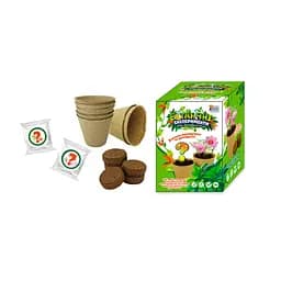 Ботанічні експерименти 4FUN Game Club 77861 ґрунт, насіння, папір