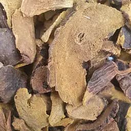 100 г щавель кінський коріння сушене - свіжий урожай