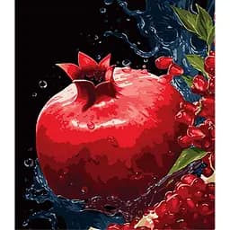 Набор для росписи по номерам Strateg Гранатовая феерия в воде на черном фоне 40 х 50 см (AH1102)