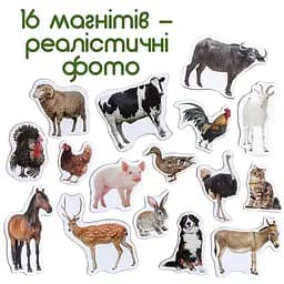 Набір магнітів Magdum Ферма реалістичні  ML4031-04 EN - мініатюра 3