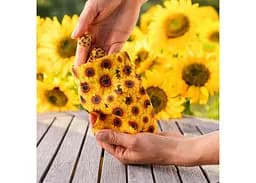 Мішечок для кубиків Q-Workshop Full Art Dice Pouch Sunflower (BWSPSUNF201) - мініатюра 3