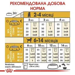 Сухий корм для цуценят породи Лабрадор Ретрівер Royal Canin Labrador Retriever Puppy, 12 кг (24911201) - мініатюра 7