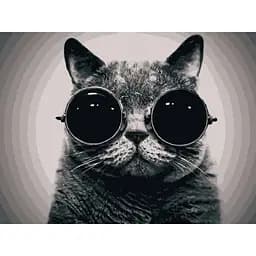 Картина за номерами ArtCraft Кіт Морфіус 40х50 см 11607-AC