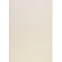 Набор фетра Santi жесткий 21 х 30 см 10 листов айвори (740410)