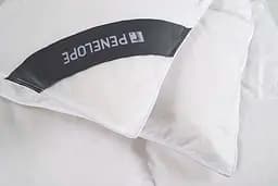 Ковдра Penelope - Gold 13,5 tog пухова 240x260 Super King size - мініатюра 5