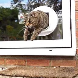 Дверцята для кішок SureFlap Sure Petcare DualScan з мікрочіпом, RFID-бірки для нашийників та сумісність з мікрочіпом, керування - мініатюра 5