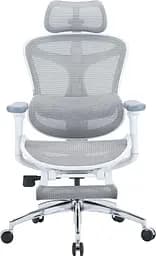 Офісне крісло Sihoo DORO C300L Mesh White with footrest (DORO-C300L-A3-102-JT)