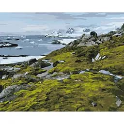 Картина за номерами на підрамнику Brushme Зелена Антарктика Дмитро Мартиненко