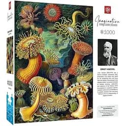Пазл класичний GoodLoot Imagination: Ernst Haeckel: Sea Anemones 1000 елементів (5908305244943)