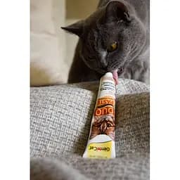 Паста для котів GimCat Duo Paste Anti-Hairball з сиром 50 г (G-427218) - мініатюра 4