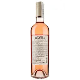 Вино Tierra Telteca Malbec Rose рожеве сухе 0.75 л - мініатюра 2