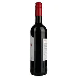 Вино Heaven Pinotage, червоне, сухе, 0,75 л - мініатюра 3