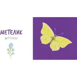 Збери веселку. Insects   - мініатюра 3