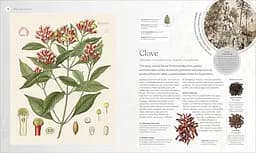 The Herb Book - мініатюра 9