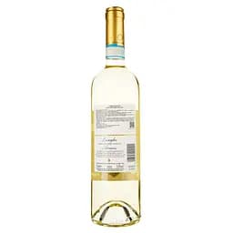 Вино Roberto Sarotto Langhe Arneis DOC, біле, сухе, 0,75 л - мініатюра 2