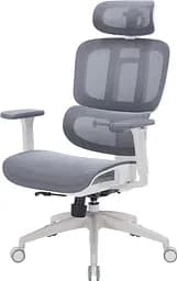Офісне крісло OfficePro Skyline OC680-W-DG-DG (OC680-W-DG-DG)