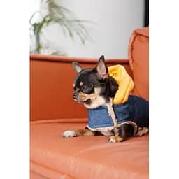 Шлея-жилет Pet Fashion Poppy для собак розмір XS2 - мініатюра 7