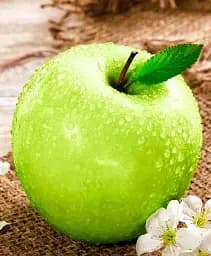 Саджанець Agro-Market Яблуня Кальвиль Сніговий (зимовий сорт, пізній термін дозрівання) 1 шт. в упаковці (25750)