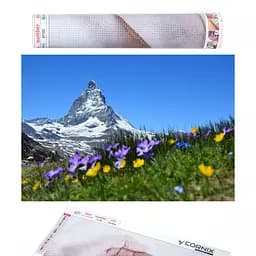 Набір алмазної мозаїки (вишивки) Cornix Art 40 x 30 см AY61