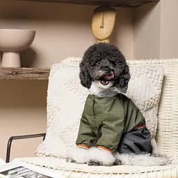 Дощовик Pet Fashion Jimi для собак, розмір S, зелений (лімітована серія) - мініатюра 6