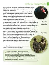 Енциклопедія для допитливих А5 : Хижаки (Українська, 01 КРЕЙДОВАНИЙ ) - мініатюра 3