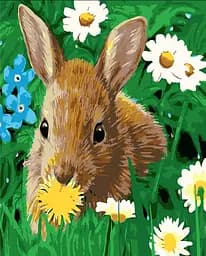 Набір для розпису по номерах Кролик на галявині, Strateg, з лаком, 30x40 см, SS-6419