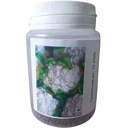 Капуста цветная Весна Снежный гигант (в банке) Органик 5г (44970)