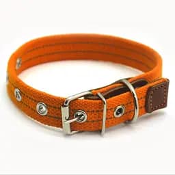Нашийник для собак Zoo-hunt брезентовий світловідбиваючий помаранчевий ПРО світл. 2,0/30-40 см