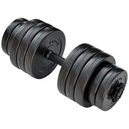 Гантель RN Sport Long розбірна 21 кг