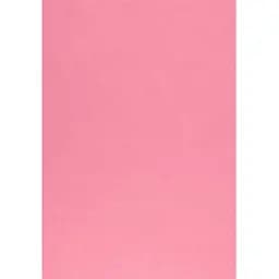 Набор фетра Santi мягкий 21 х 30 см 10 листов светло-розовый (740434)