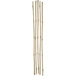 Бамбукові опори для рослин Elsa 90 см (BMB-90)