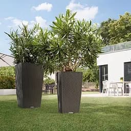 Вазон Lechuza Cubico Cottage 40 графітово-чорний (15253) - мініатюра 5