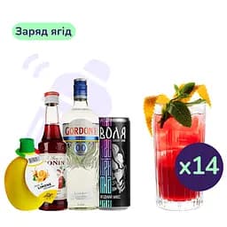 Коктейль безалкогольный Заряд ягод (набор ингредиентов) х14 порций на основе джина Gordon's Alcohol Free