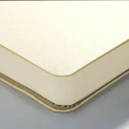 Блокнот для графіки Royal Talens Art Creation А4 140г/м2 80л White Gold - мініатюра 3
